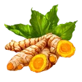Turmeric