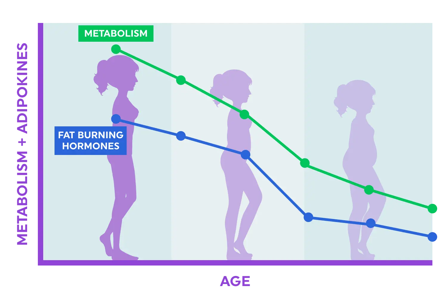Rejuvit vs regular supplements